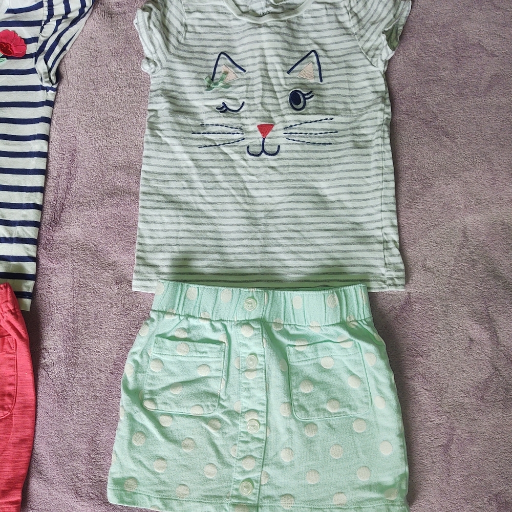 Carter's skirt outfit
